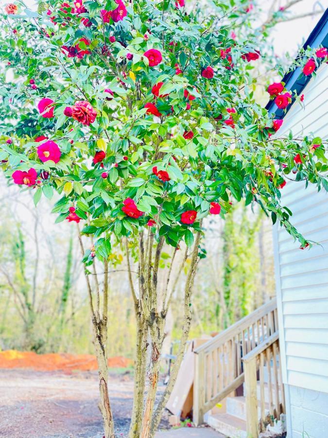 Bountyland Cottage - Lake Keowee - Mountains - Clemson University Сенека Экстерьер фото